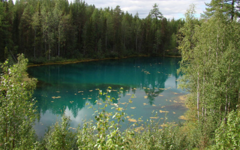 Параськины озера под Ухтой могут стать заказником федерального значения