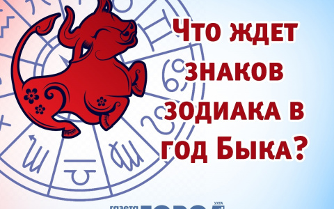 Что преподнесет Львам 2021 год Металлического Быка?