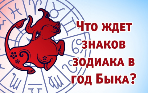 Что преподнесет Козерогам 2021 год Металлического Быка?