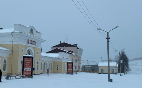 Железнодорожные вокзалы Ухты и Сосногорска избавят от крыс и тараканов