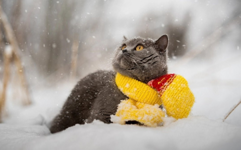 На выходные в Ухте потеплеет