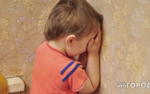 В Ухте объявлен набор для родителей испытывающим трудности в воспитании детей