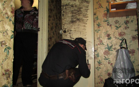 В Коми пьяные родственники ради денег на спиртное убили парализованную пенсионерку