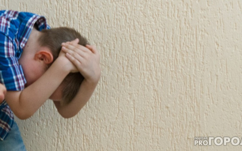 В Ухте осудили мать, избивавшую собственных детей