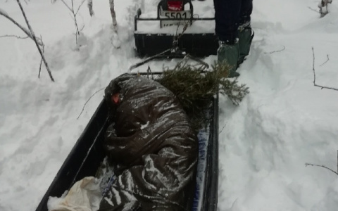 В Сосногорском районе выясняются причины загадочной смерти рыбака