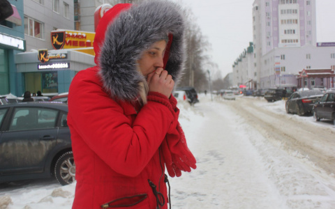 Ниже нормы: Синоптики рассказали, какая погода будет в феврале в Ухте
