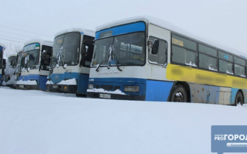 В Москве и Санкт-Петербурге запустят общественный транспорт с символикой Коми