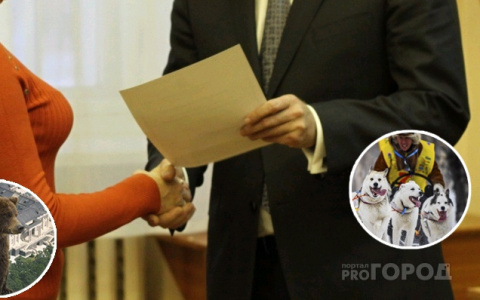 Трасса для собак или дворец для медведя?