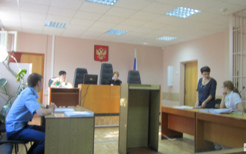 Предприниматели из Коми получили штрафы за "Свинку Пеппу" и "Героев в масках"