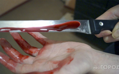 Пьяное побоище: пожилого ухтинца прирезал 41-летний знакомый из-за подозрения в краже