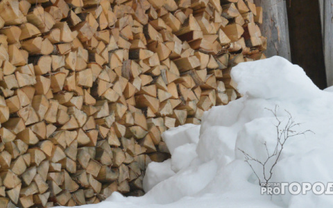 Деревянный подход: лесозаготовители Коми пользуются махинациями при продажи дров
