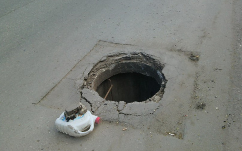 Жителя Коми поймали в тот момент, когда он пытался найти "Черепашек-ниндзя"