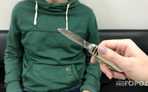 Бабушка, дьяволский одуванчик: Суд в Коми вынес приговор 80-летней убийце