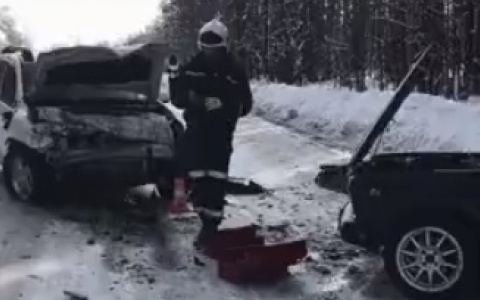 Годовалая дочь погибшей под Сосногорском женщины находится в коме