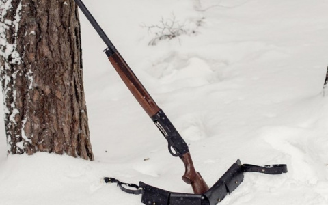 В Коми Росгвардия за неделю отобрала 14 ружей