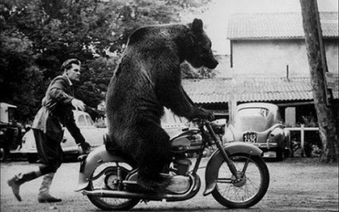 Французкий историк рассказал про стереотипы о России и русских