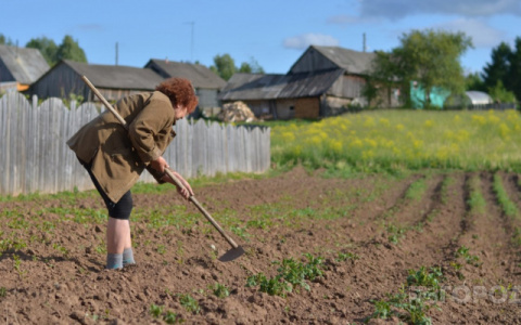 Кто в Коми может получить надбавку к пенсии за работу в сельской местности