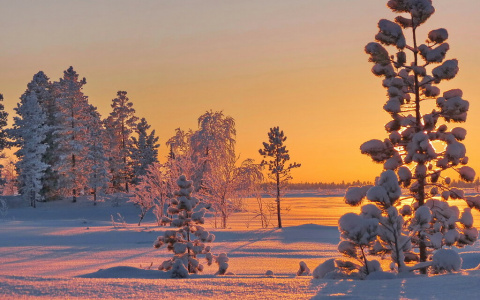 Республика Коми разорвала торговые отношения с некоторыми государствами