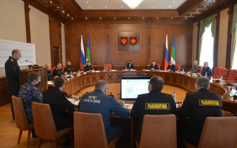 В Коми ведётся разработка федеральной программы «Арктические лососевые»