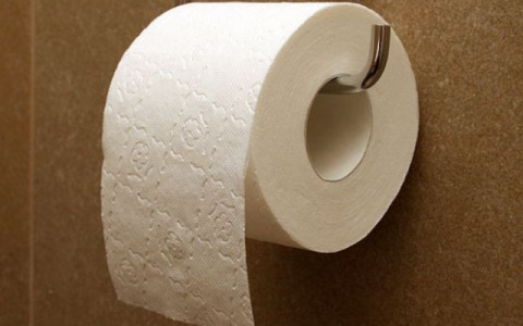 Возвращение к истокам: СМИ предупредили о возникновении дефицита туалетной бумаги