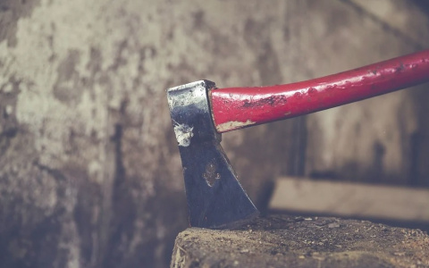 "Маньяк за забором": в Коми топор завершил войну двух закадычных соседей