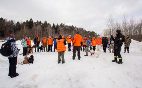 В Коми нашли пропавшую мать двоих детей