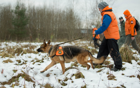 Пропавшую девушку в Коми меньше чем за сутки нашли мертвой