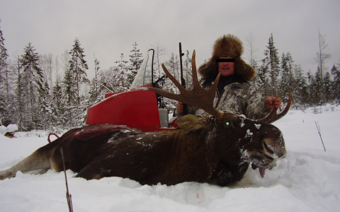 В Коми разрешили добычу животных, охотник из Ухты высказался против