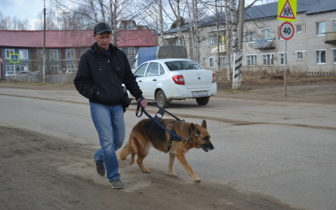 В Коми собака-поводырь вернула незрячему любовь к жизни