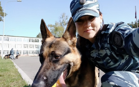 "Хороший нюх!": В Коми служебная собака помогла найти похищенную водку