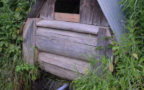 "Нитраты рядом".Роспотребнадзор предупредил об опасной колодезной воде