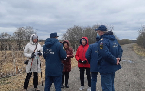 В Коми сотрудникам МЧС пришлось выйти прочесывать лес
