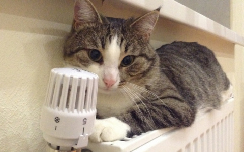 В столице Коми завершают отопительный сезон, а в Ухте отключать еще не начали