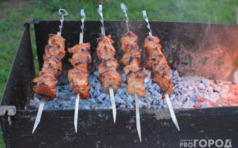 Шашлык "убил" жителя Коми во время майских выходных