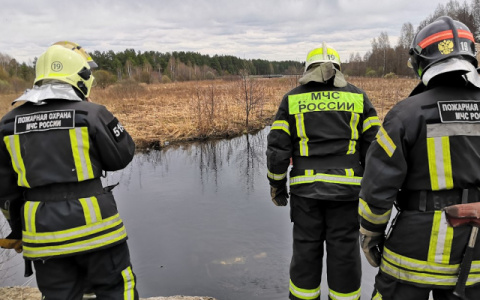 Поэт из Коми и спасатель из Ухты удостоены госнаград