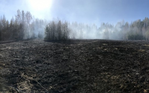 Пожар рядом с кладбищем Ухты тушили всеми силами