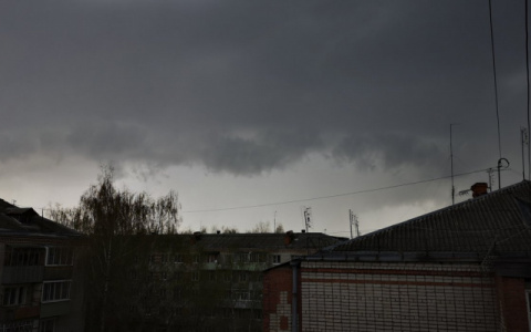 Жара в Коми пришла не одна, с собой она "принесла" опасное явление