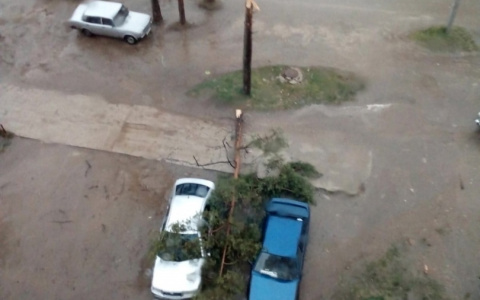 Гидрометцентр Коми разъяснил почему на Ухту обрушилась стихия, ждать ли нам подобные явления в будущем?