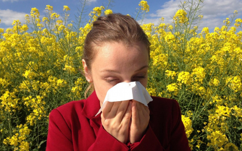 Врачи назвали главный признак отличия сезонной аллергии от коронавирусной инфекции