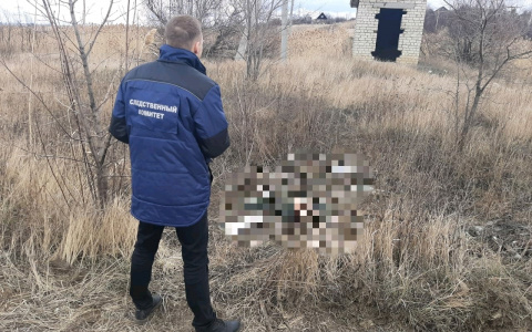 Убили, расчленили и спрятали: в Ухте рассматривают жуткое дело