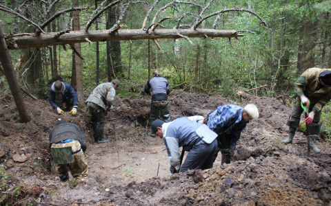 "Надежда еще жива". В Коми ищут двух женщин, которые пропали еще полгода назад, но периодически оставляют "следы"