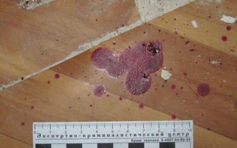 В Коми мужчина до смерти забил соседа, за то, что тот не принес ему водки