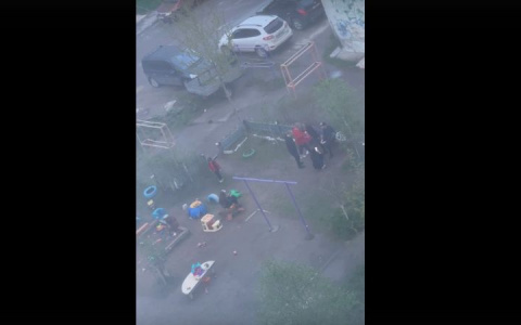 Ухтинец снял на видео "антикультурный отдых" взрослых на детской площадке