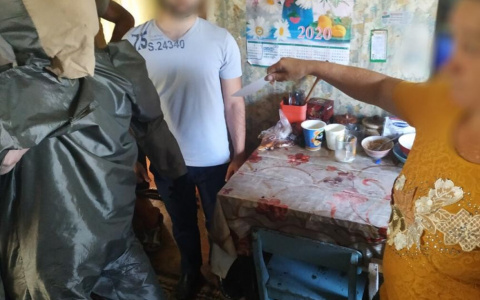 Женщина из Коми убила своего сожителя пинцетом и получила свое наказание