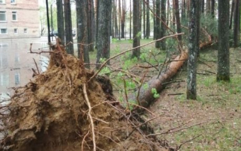 Ухта в ожидании нового урагана: в городе объявлено штормовое предупреждение