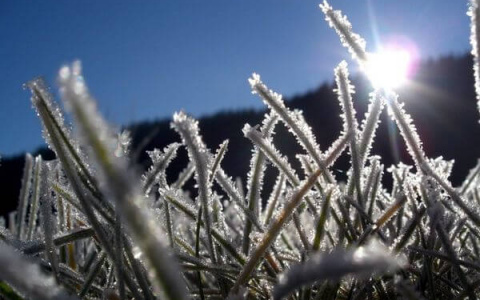 «Вечная мерзлота». В Коми придут заморозки