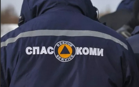 В Коми спасатели помогли жителям Коми попасть в дом и спилили опасное дерево