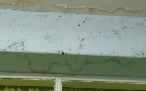 "Чернота убивает наших детей!": ухтинка пожаловалась на плесень в детских садах