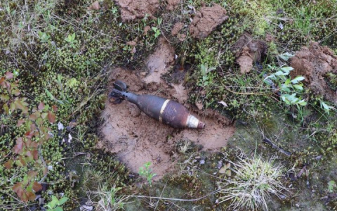 В Коми взрывотехники выезжали к жителю на дачу после сообщения о боевой мине