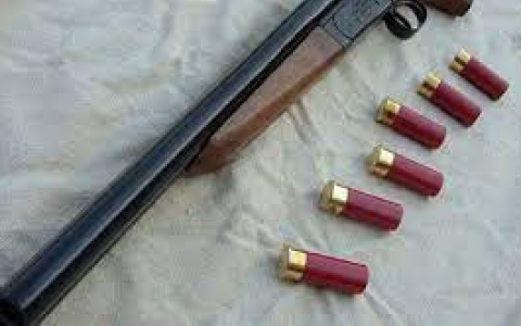 Мужчины из Коми отдохнули так, что потеряли ружья. Теперь их ждет наказание